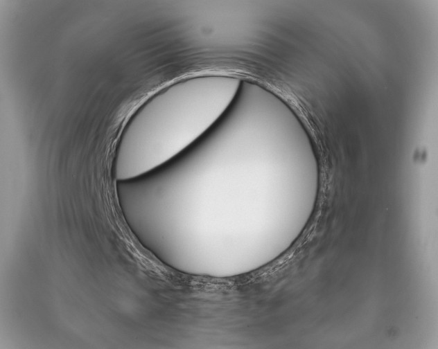 X0000091180337200708091050