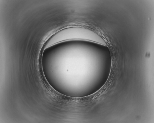 X0000091180340200708091050