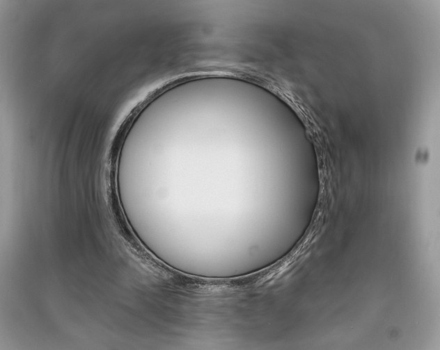 X0000091180342200708091050