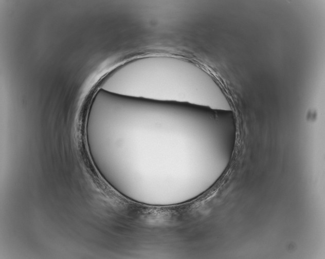 X0000091180343200708091050