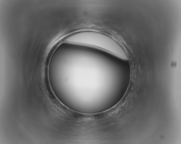 X0000091180344200708091050