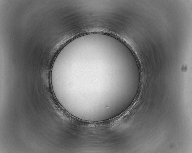 X0000091180345200708091050