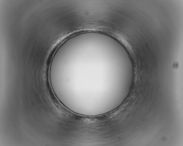 X0000091180346200708091050