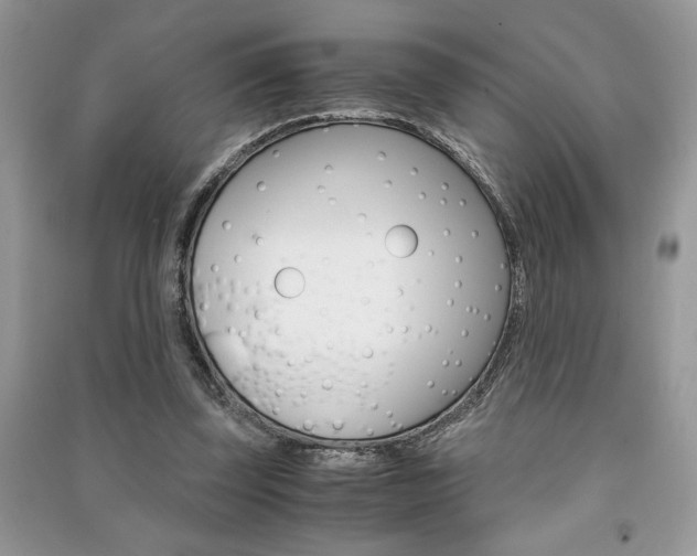 X0000091180347200708091050