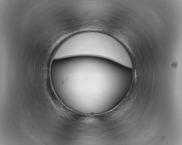X0000091180348200708091051