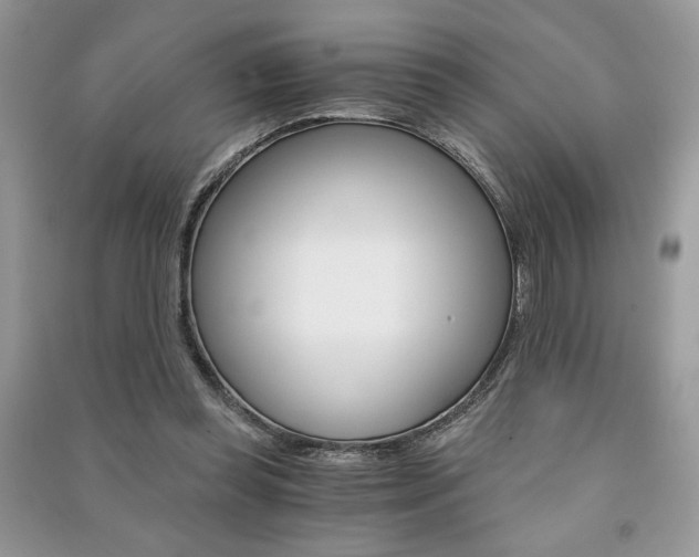 X0000091180349200708091051