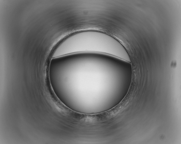 X0000091180350200708091051