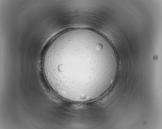 X0000091180351200708091051