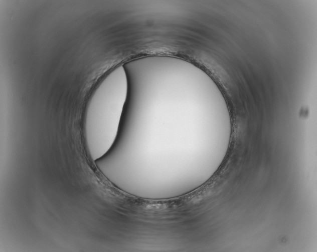 X0000091180353200708091051