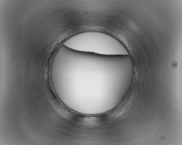 X0000091180357200708091051