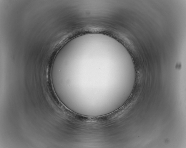X0000091180358200708091051