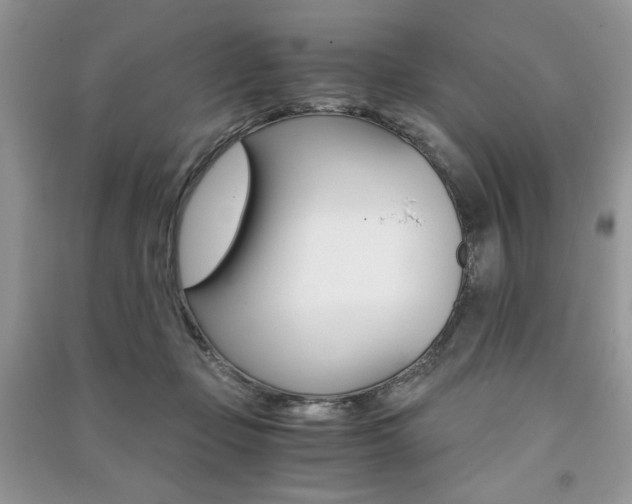X0000091180365200708091051