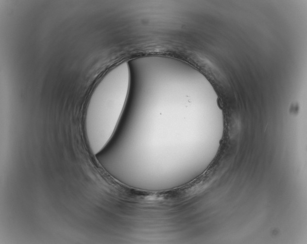 X0000091180366200708091051