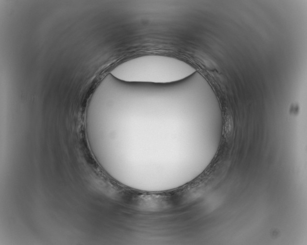X0000091180367200708091051
