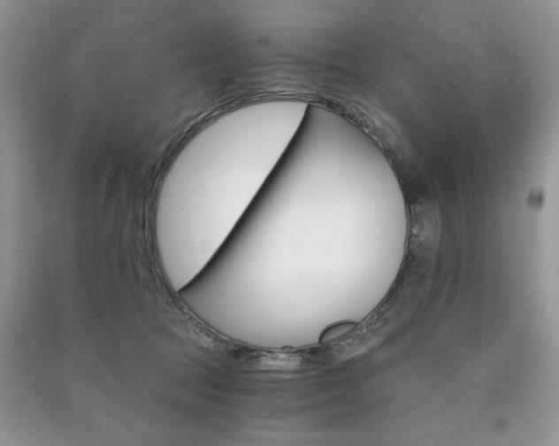 X0000091180369200708091051