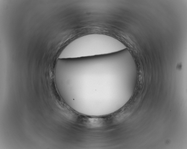 X0000091180371200708091051
