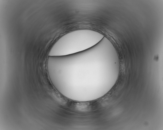X0000091180373200708091051
