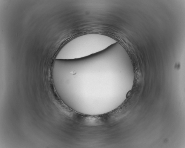 X0000091180375200708091051