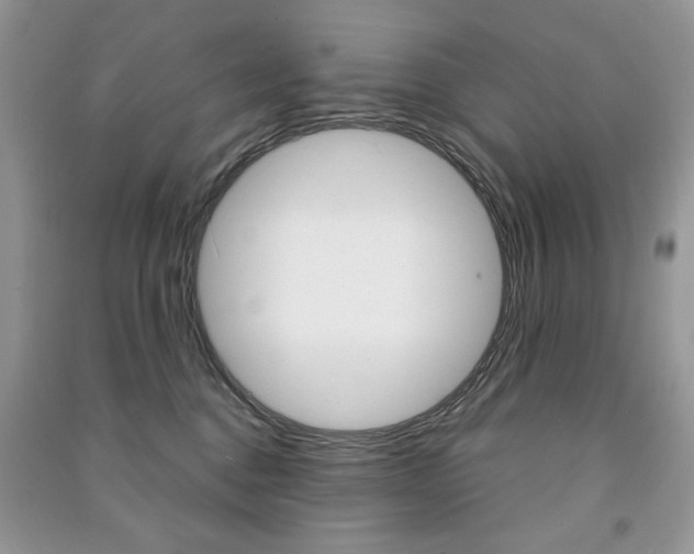 X0000091180376200708091051