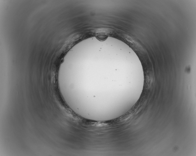 X0000091180379200708091051