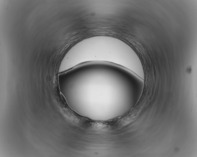 X0000091180380200708091051