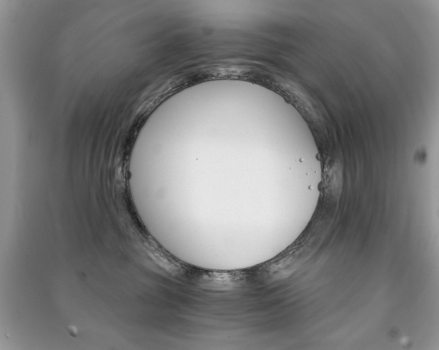 X0000091180381200708091051
