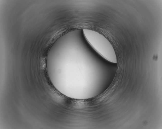 X0000091180383200708091051