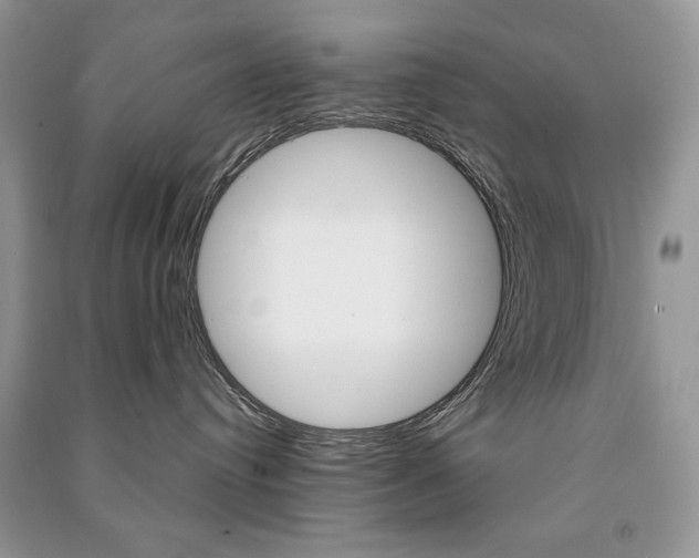 X0000091180384200708091051