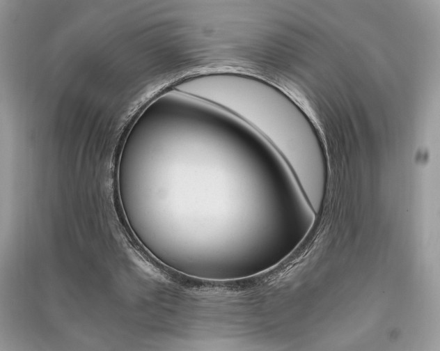 X0000091180389200708091050