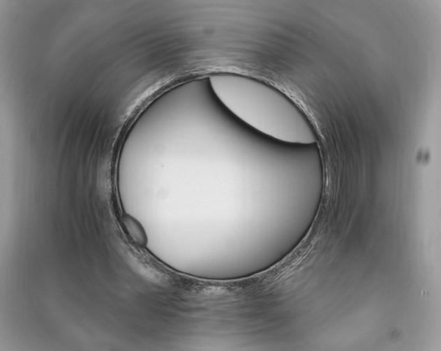X0000091180390200708091050