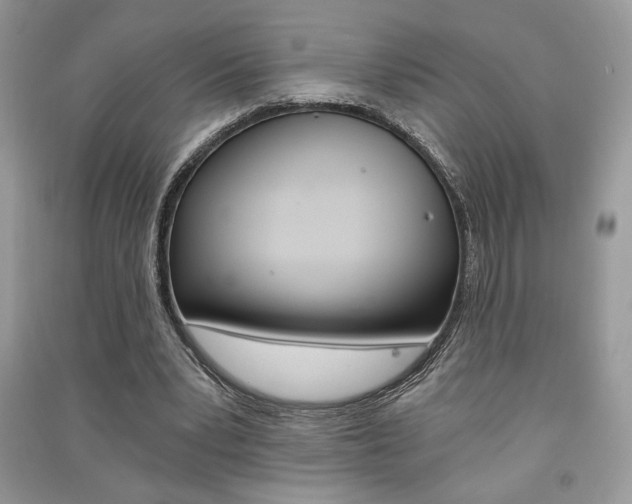 X0000091180391200708091050