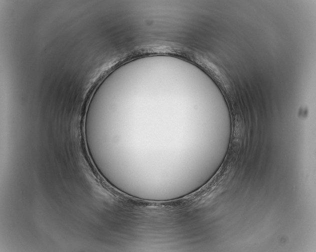 X0000091180394200708091050