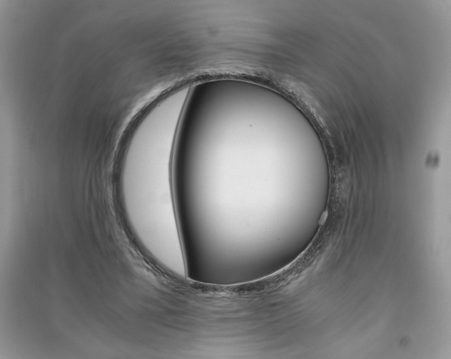 X0000091180395200708091050