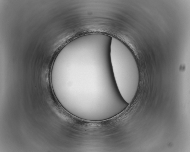 X0000091180398200708091050