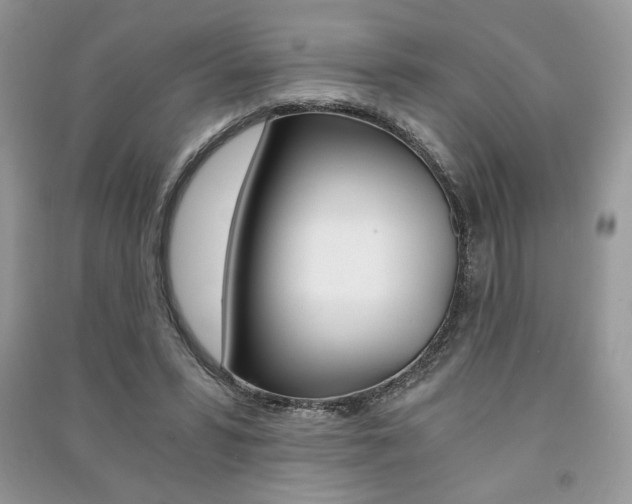 X0000091180399200708091050
