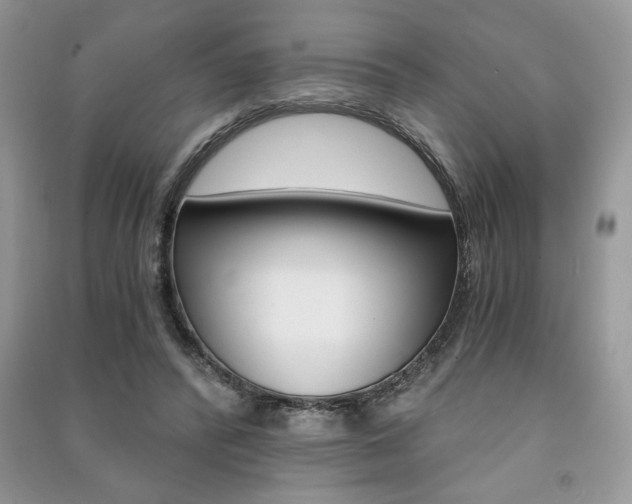 X0000091180400200708091050