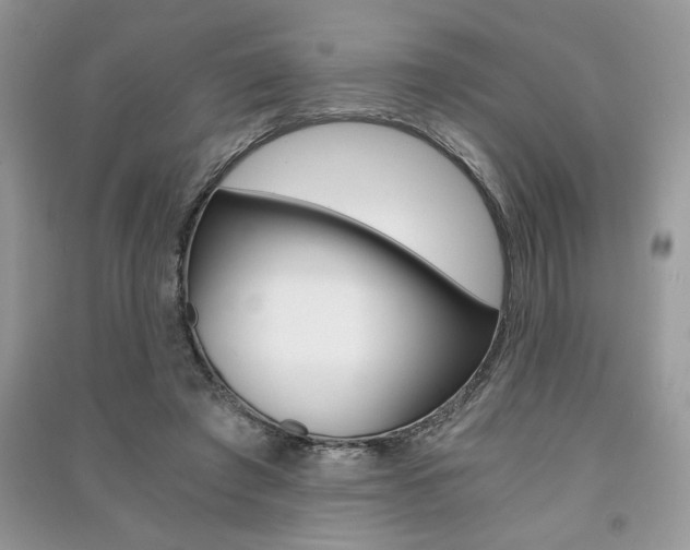 X0000091180401200708091050