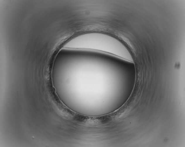 X0000091180403200708091050
