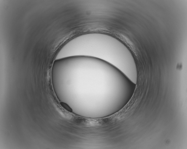 X0000091180405200708091050