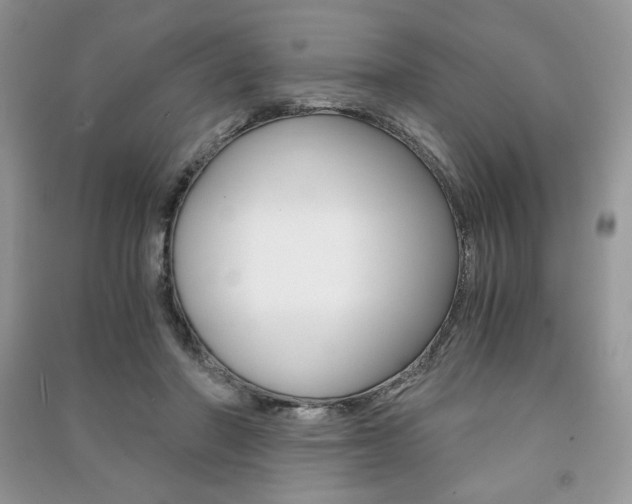 X0000091180406200708091050