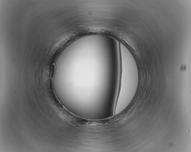 X0000091180407200708091050