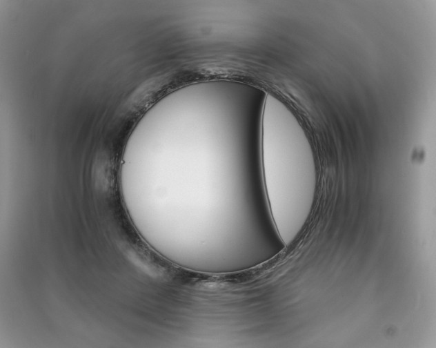 X0000091180408200708091050