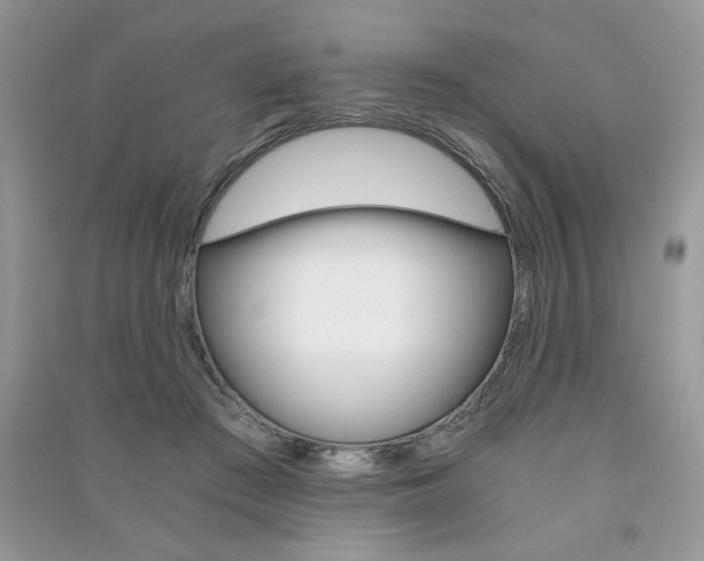X0000091180409200708091050