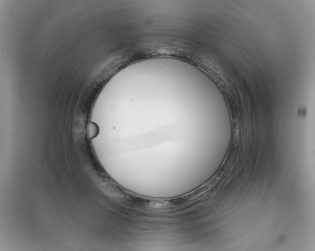 X0000091180410200708091050