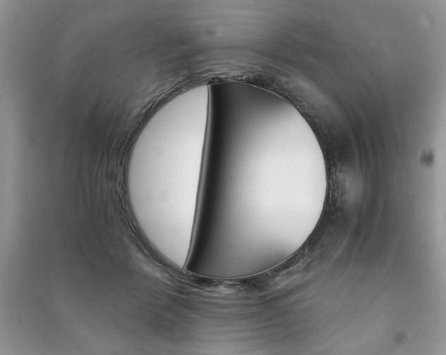 X0000091180412200708091050
