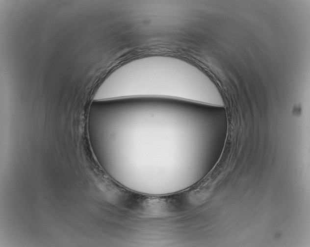 X0000091180413200708091050