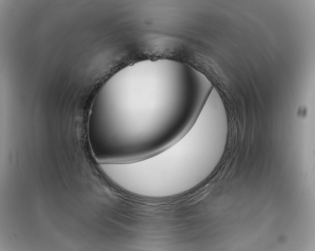 X0000091180416200708091050