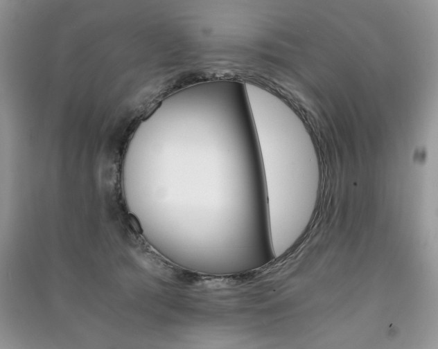 X0000091180417200708091050