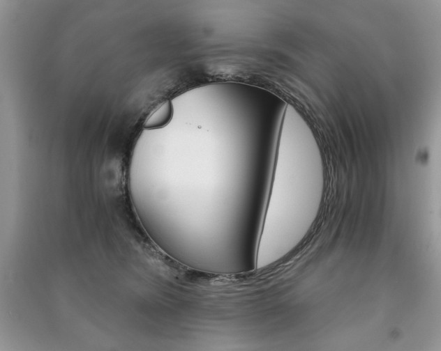 X0000091180420200708091050