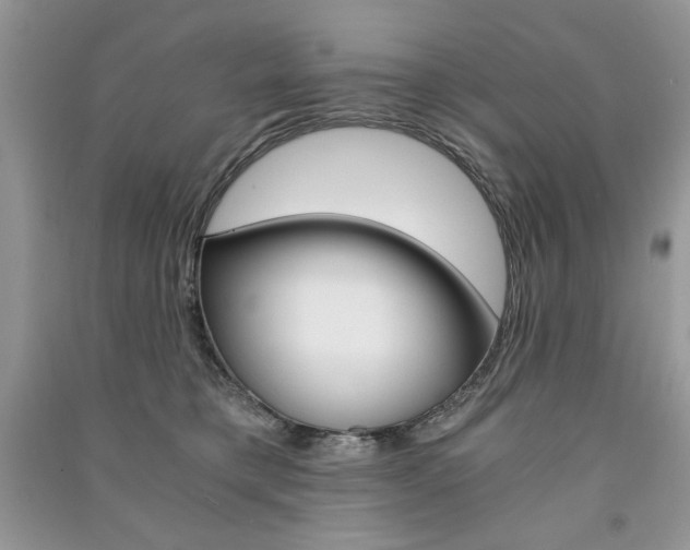X0000091180421200708091050